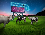 DLF Fiber Energy - All you can eat